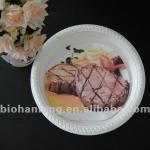 Biodegradable Plates (starch,tapioca)