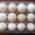 Clear and disposable plastic egg tray packing for 12