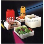 new style foldable corrugated plastic fruit vegetable box food packaging (YF7044)