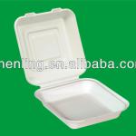 disposable hot food container