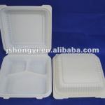 Biodegradable Disposable Lunch Box