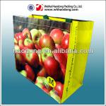 custom printed plastic non woven shopping bag