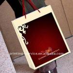 Clothes Paper Bag Printing