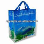 2013 Fashion design plastic packing bag