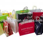 Custom Made High Quality disposable paper bag