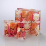 2011 hot selling plastic gift bag design