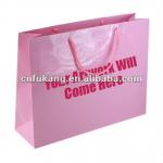 Luxury Cheap Recycled Paper Gift Bags