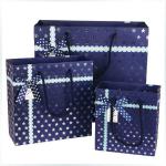 Fashion Paper gift paper bag for shopping Paper Gift Bag