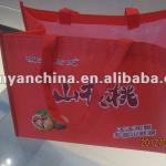 PP non woven lamination promotional bags