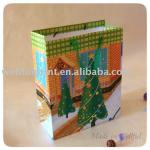 Christmas Paper Gift Bag (WF-17039)