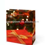 2013 Xmas paper bag