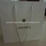 cloth bags with logo printing/paper shopping bag with ribbon handle
