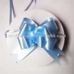 Gift Ribbon Bows for Packaging