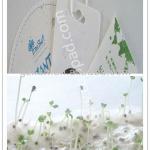 Hang Seed tags, Plantable seed paper card, coaster card