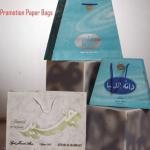 Promotion Paper Bags