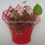 Beautiful Everyday BOPP Film Flower/Planter Pot Covers