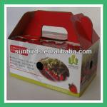 2013 Custom Strawberry Packing Paper Box