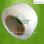 2013 China BST 19mm composite cord strapping mental strapping