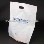 biodegradable shopping bag