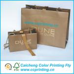 Trendy paper shopping bag with ribbon handle