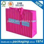 2013 Best Seller Design Shopping Paper bag/Gift Paper Bag