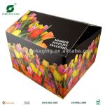 OFFSET PRINTED CARDBOARD BOX