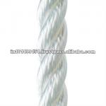 Polyester Ropes