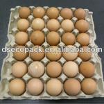 Recycled 30 Cavity Paper Egg Tray