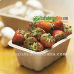 rectangular bagasse disposable strawberry tray