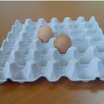 PAPER EGG TRAY