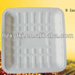 biodegradable food trays--9 inch tray
