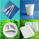 disposable biodegradable plate fork knife spoon cup made in China