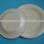 disposable paper plate