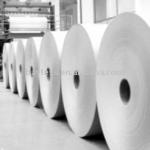 White Woodfree Offset Printing Paper