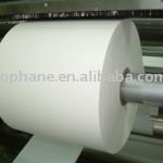 PE coated paper