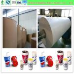 Grade A PE coated cup paper