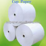 Double Side PE Coated Cup Paper