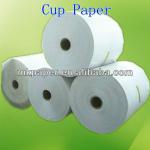 Single Side PE Coated Cup Paper
