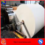 Professional Pe paper manufacturer for 14 years