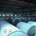 coated duplex paper board