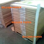 Duplex Paper Board for Bangladesh Garment Accessory