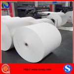 150 gsm ~ 350 gsm PE lamination cup stock paper