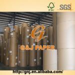 100% Virgin Wood Pulp Woodfree Offset Paper Roll