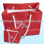 Fashional Gift Package Paper Bag Wholesale