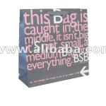 Custom PP Ribbon Handle Boutique Shopping Paper Bags