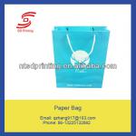 Customized paper bag for shopping