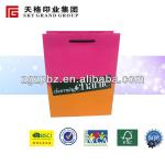 2014 professional custom cheap shopping gift paper bag