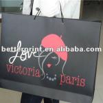 Hot Sale Customized Paper Bag/Kraft bag