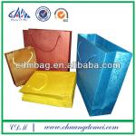 WenZhou Supplier Paper packing Bag (CDM-12)