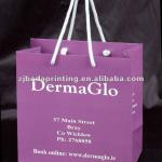 2013 fashion custom paper bags for promotional
